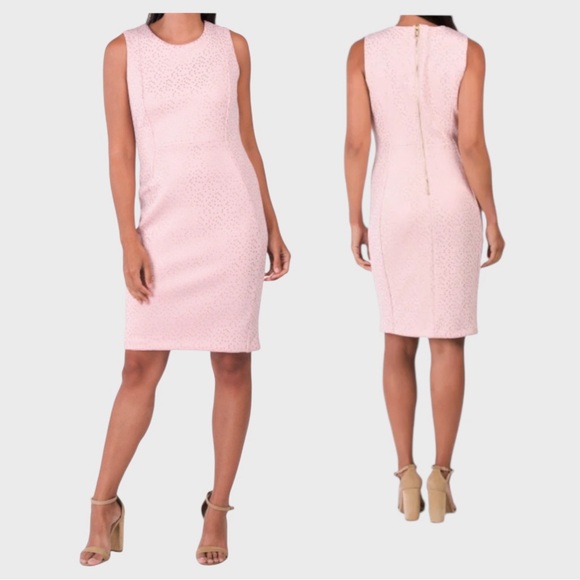 Carmen Marc Valvo Dresses & Skirts - Carmen Marc Valvo Pink Sleeveless Dress